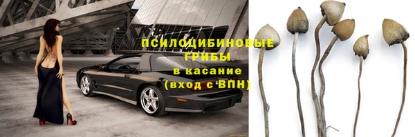 герыч Алексин